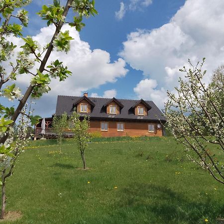 Orlik - Pokoje Goscinne Uscie Gorlickie Exterior foto