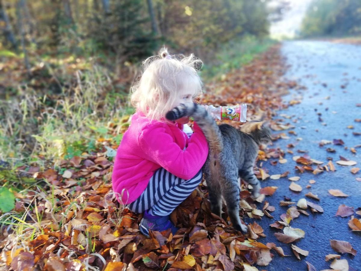 Orlik - Pokoje Goscinne Uscie Gorlickie Exterior foto