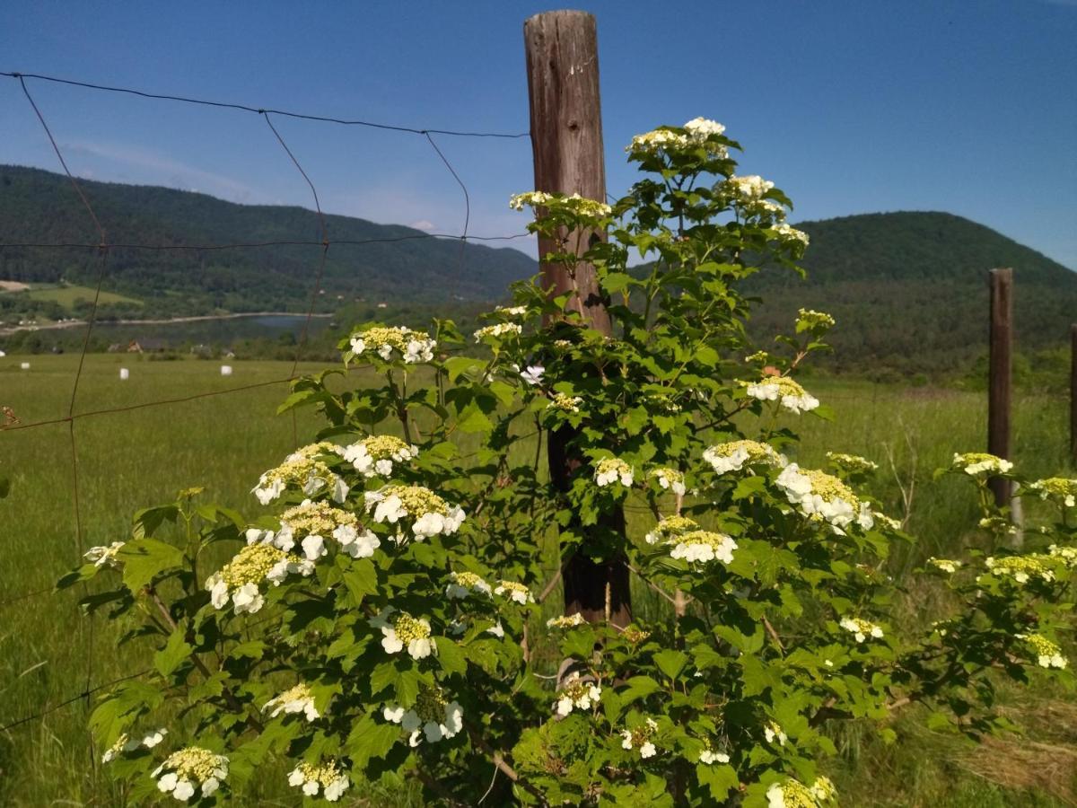 Orlik - Pokoje Goscinne Uscie Gorlickie Exterior foto